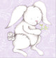 Bonny Bunny Lavender