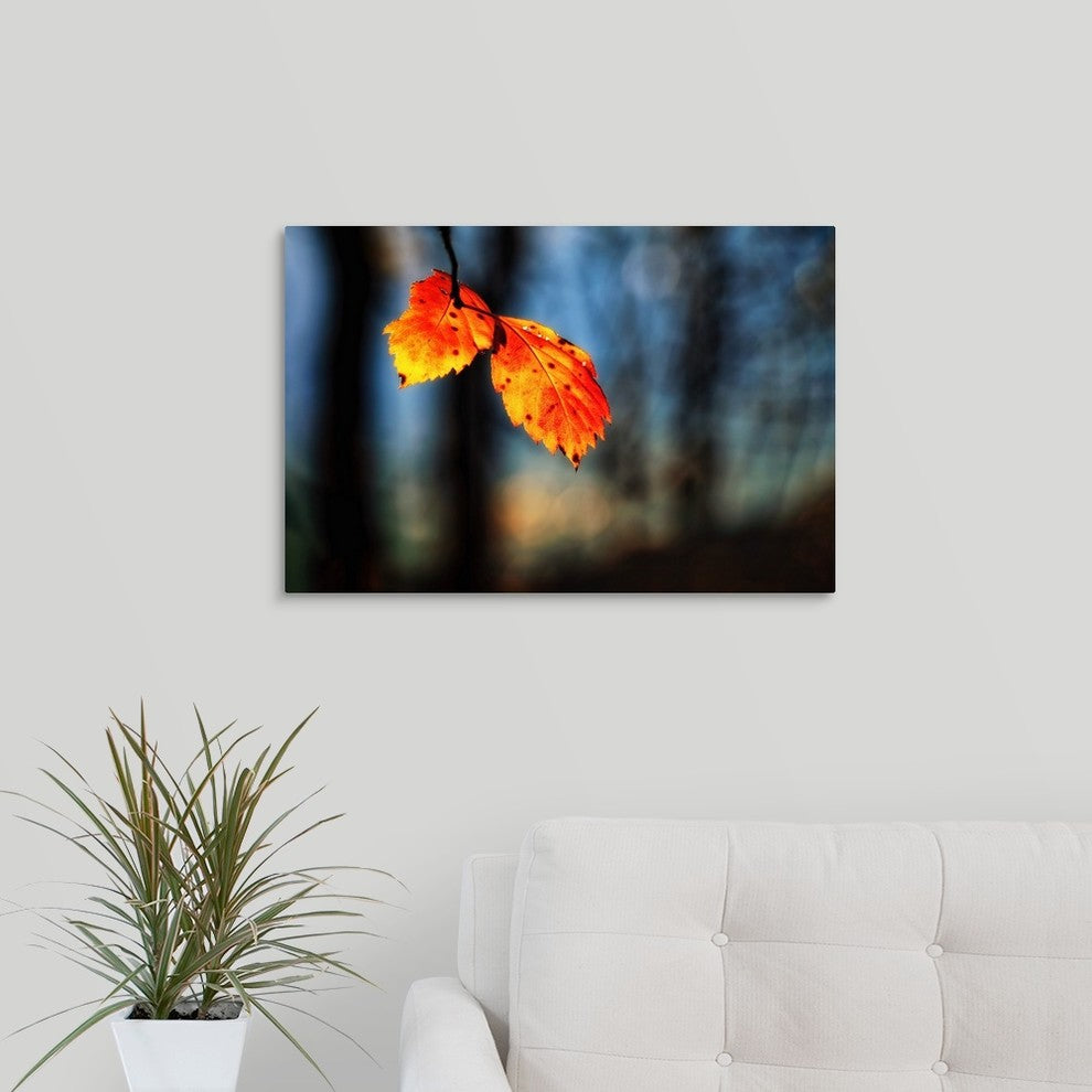 "The Making of Orange" Wrapped Canvas Art Print, 24"x16"x1.5"