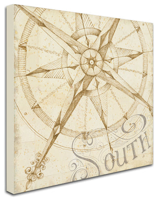 'Coast to Coast Sepia II' Canvas Art by Daphne Brissonnet