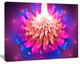 Bright Pink Fractal Flower on Blue, Floral Canvas Art Print, 20"x12"