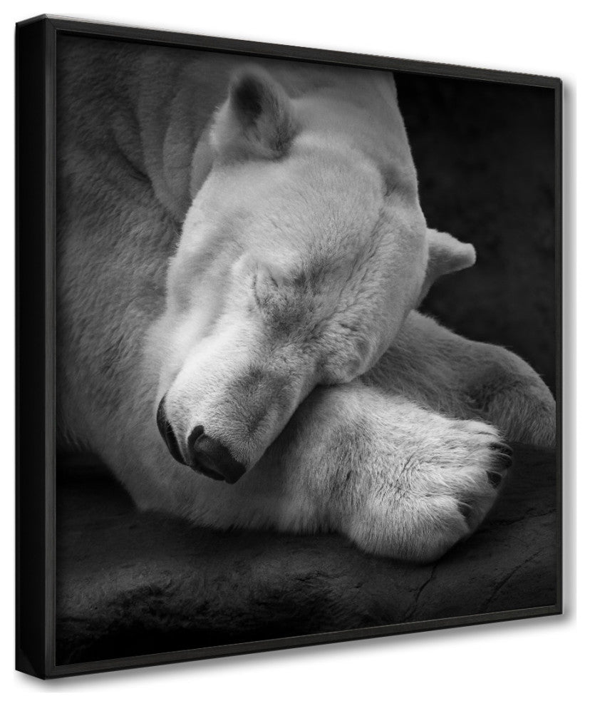 On My Pillow' Framed Print Wall Art by Andreas Krinke