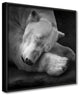 On My Pillow' Framed Print Wall Art by Andreas Krinke