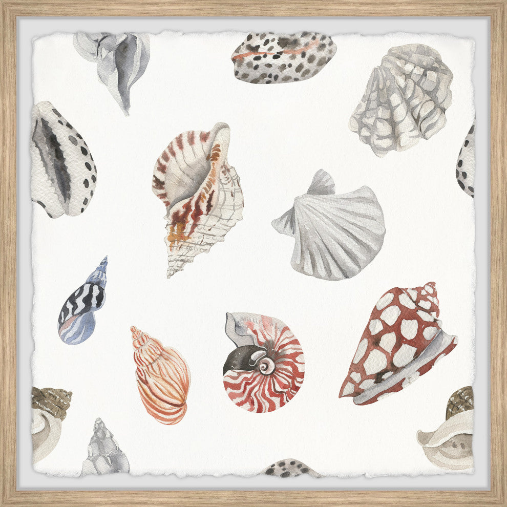 "Classic Seashells" Framed Painting Print, 24x24