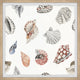"Classic Seashells" Framed Painting Print, 24x24
