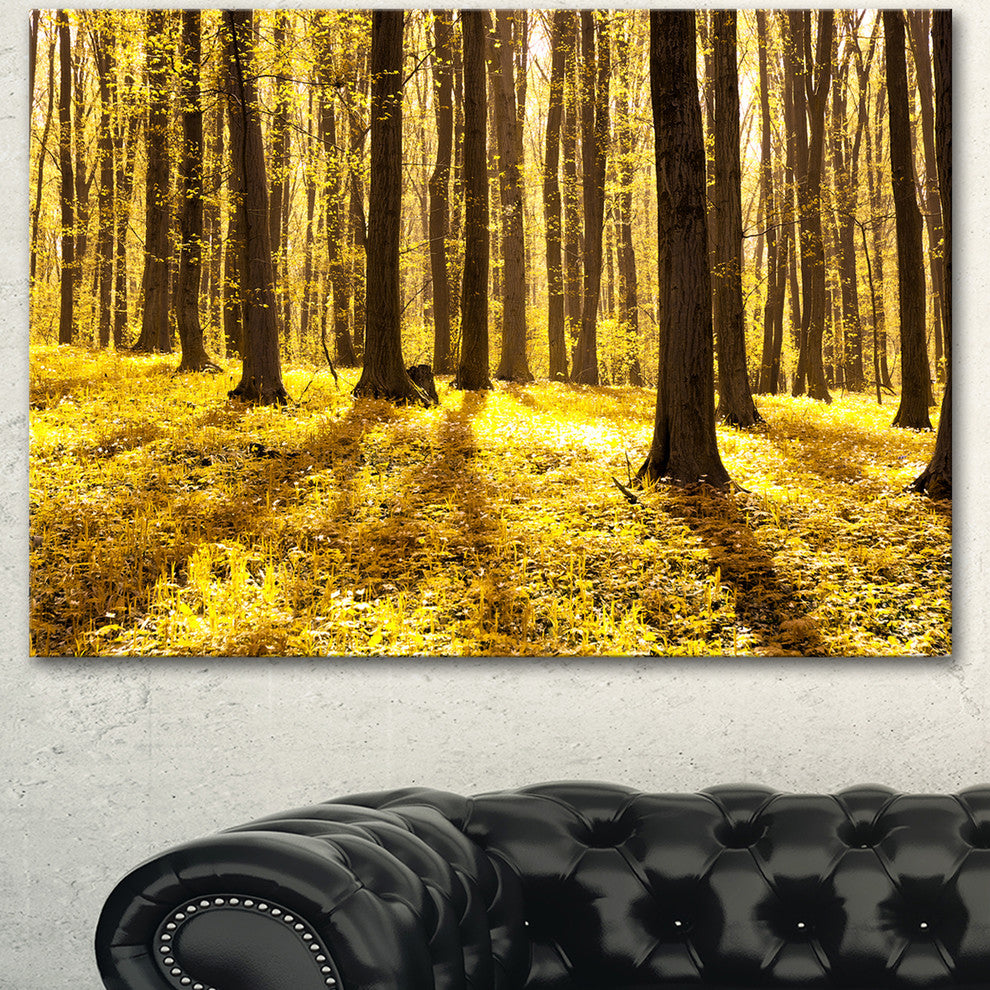 Bright Green Forest at Sunset, Modern Forest Canvas Art, 40"x30"