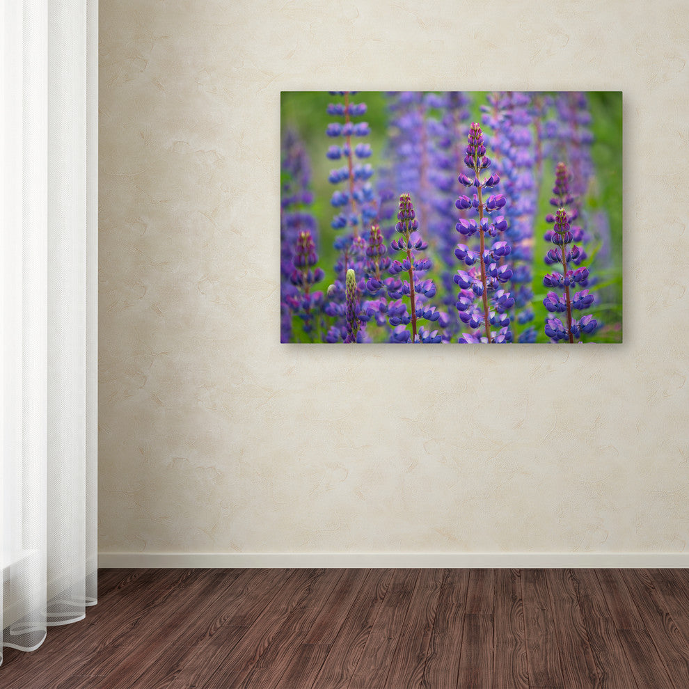 Cora Niele ''Blue Lupine Flowers'' Canvas Art