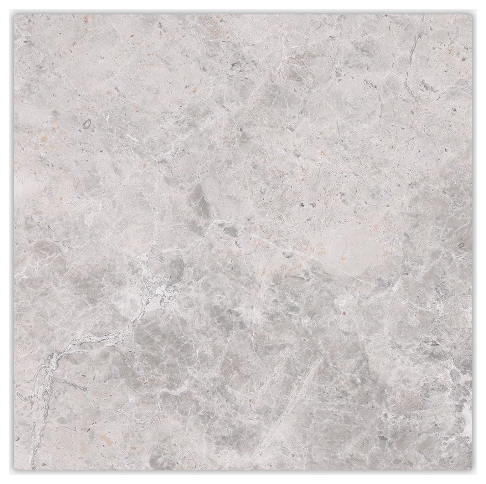 Silver Gray Dark Polished 12x12 Marble Tile