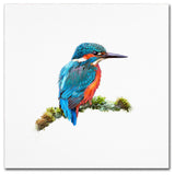 The Macneil Studio 'Kingfisher 1' Canvas Art, 35"x35"
