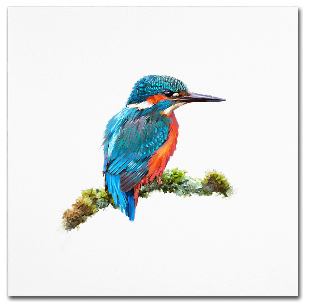 The Macneil Studio 'Kingfisher 1' Canvas Art, 35"x35"