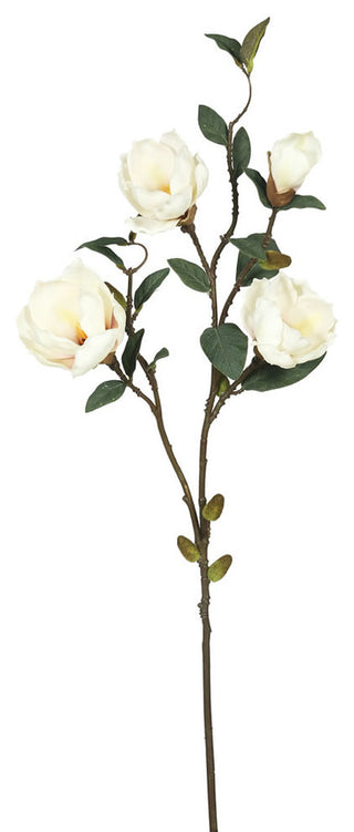 Alternate white full: full stem on clean white background, no text or diagrams, showing the product clearly.