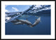 "Dolphins" Framed Digital Print by Barathieu Gabriel, 44x32"