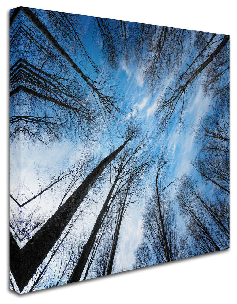 Philippe Sainte-Laudy 'Blue Crunch' Canvas Art, 14"x14"