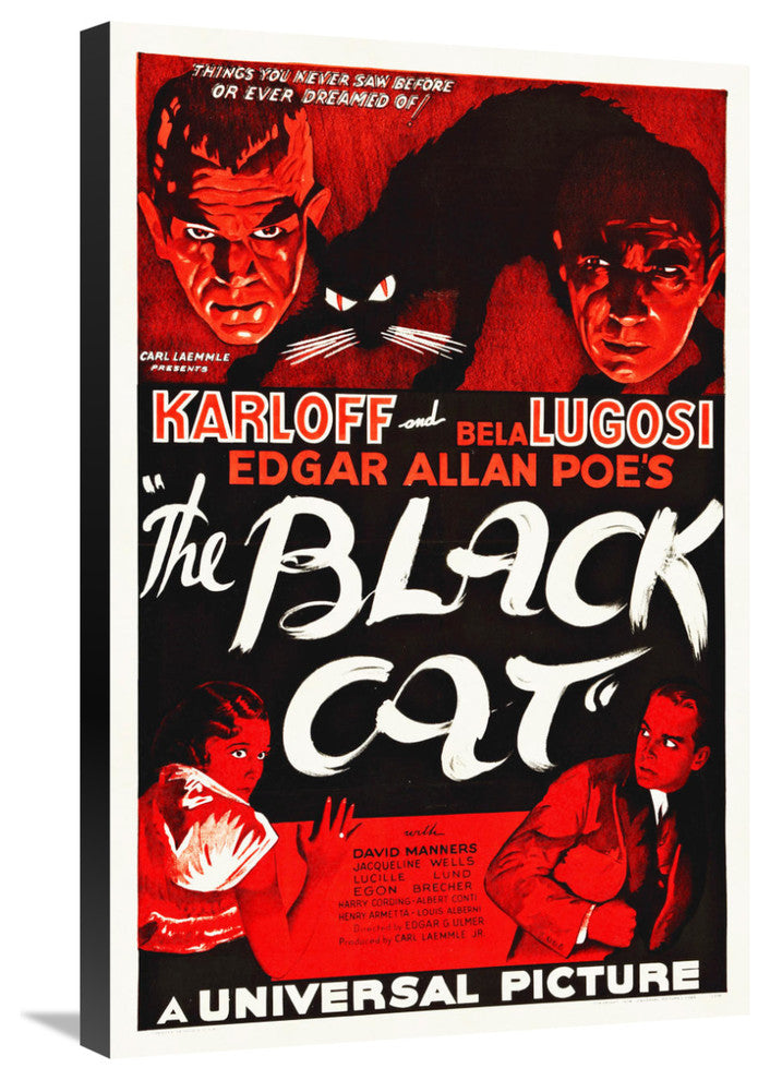 "The Black Cat, 1934" Stretched Canvas Giclee by Hollywood Photo Archive, 20x30"