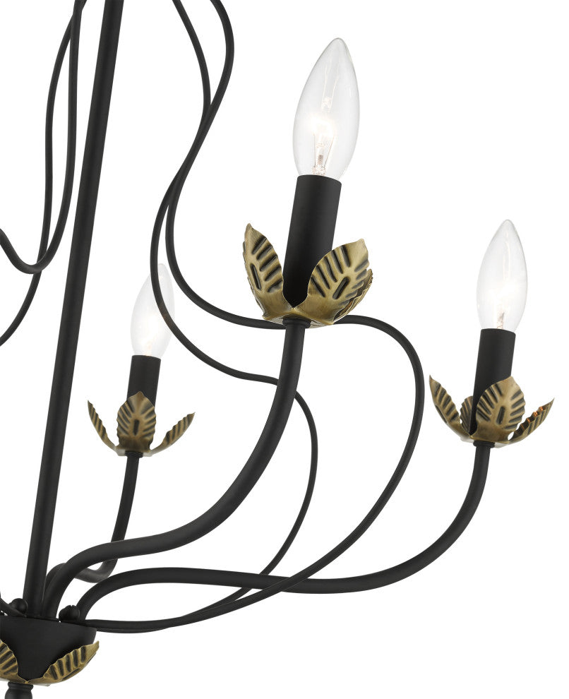 Livex Lighting 5 Light Black Chandelier