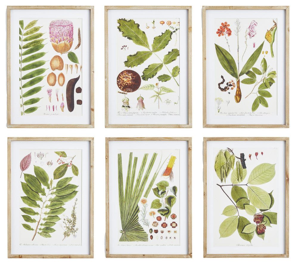 Elegant Bright Green Leaf Study Set of 6 Prints Botanical Tropical Large 28 in