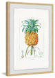 "Botanical Pineapple" Framed Painting Print, 16"x24"