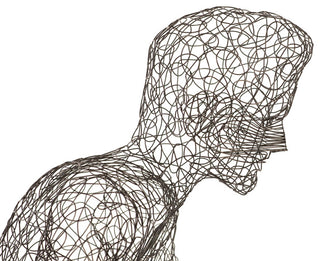 Crazy Wire Lounging Female