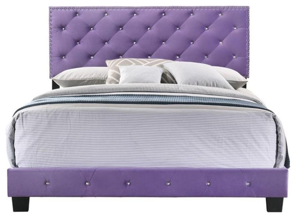 Glory Furniture Suffolk Velvet Upholstered Queen Bed in Purple