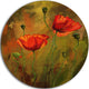 Watercolor Poppy Flowers, Floral Disc Metal Artwork, 36"