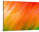 "Flower Brush Kinetic" Wrapped Canvas Art Print, 24"x18"x1.5"