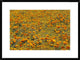 "California Poppies and Golden Yarrow California"  by Tim Fitzharris, 32x24"