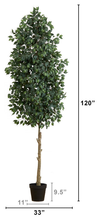 White-background image with measurement lines and height annotation; infographic-style.