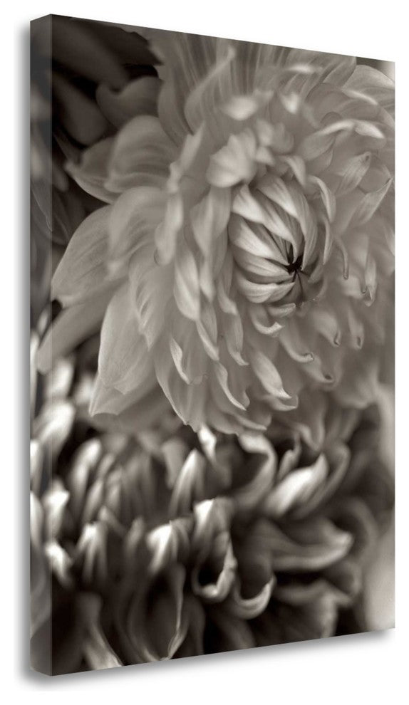 "Florison - 10" By Alan Blaustein, Giclee Print on Gallery Wrap Canvas