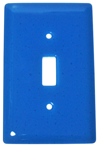 Wall Plate Switch