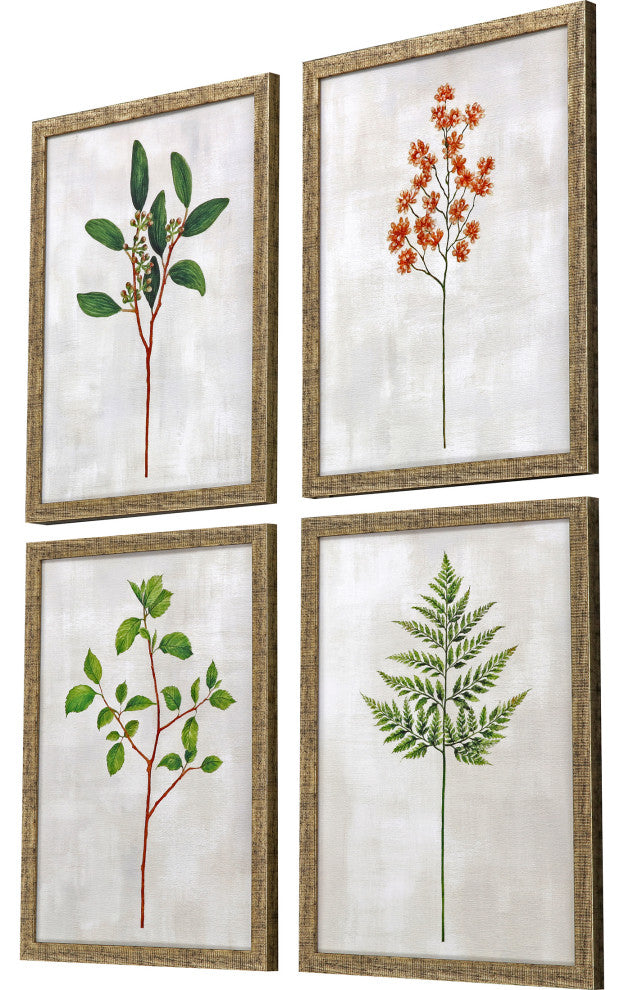 Botanical I Artwork, 4-Piece Set