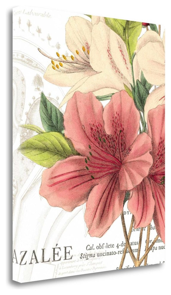 "Azalee Jardin I" By Wild Apple Portfolio, Giclee Print on Gallery Wrap Canvas