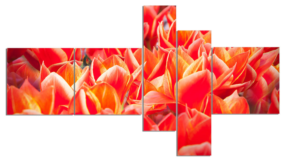 Tulip Flowers in the Keukenhof Park, Floral Canvas Art Print, 60"x32", 5 panels