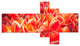 Tulip Flowers in the Keukenhof Park, Floral Canvas Art Print, 60"x32", 5 panels