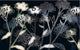 Bellezza Mural 8-898 by Komar