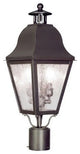 Livex Lighting 2 Light Bronze Outdoor Post Lantern - 2552-07