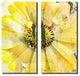 Painted Petals XCVI Wrapped Canvas, 2-Piece Set