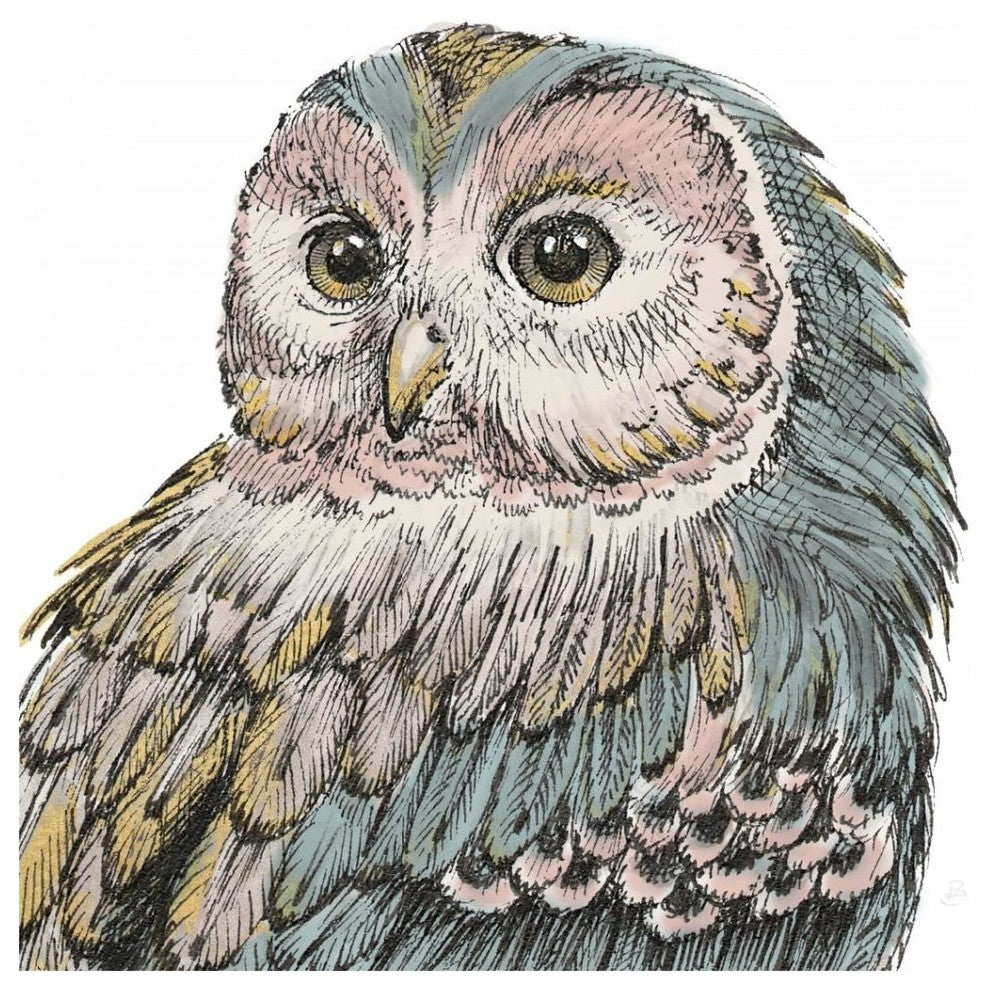 "Beautiful Owls I Pastel Crop" Digital Paper Print by Daphne Brissonnet, 38"x38"