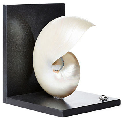 White Nautilus Shell attached to a Black Granite Bookend