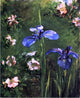 John La Farge Wild Roses and Irises, 20"x25" Wall Decal Print