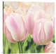 "Primavera II" Stretched Canvas Giclee by Luca Villa , 30x30"