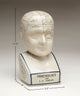 Crackle Ceramic Phrenology Bust, White