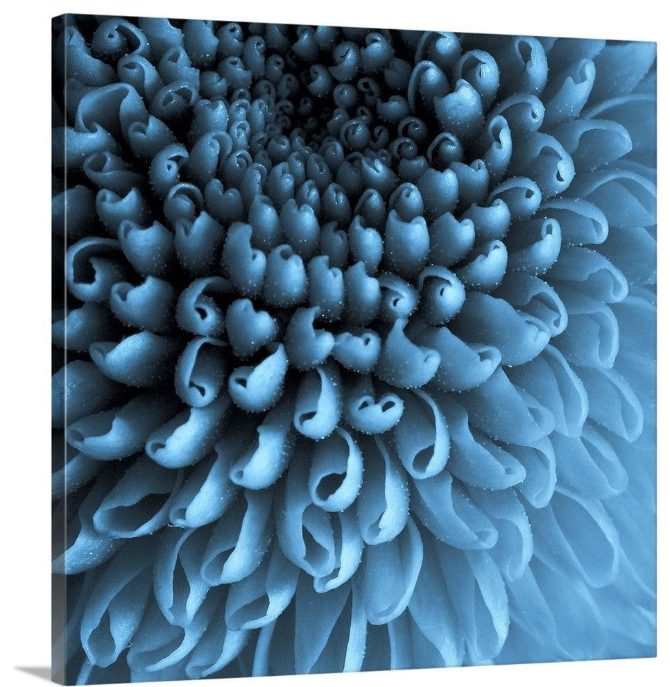 "Big Blue" Wrapped Canvas Art Print, 24"x24"x1.5"