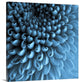 "Big Blue" Wrapped Canvas Art Print, 24"x24"x1.5"