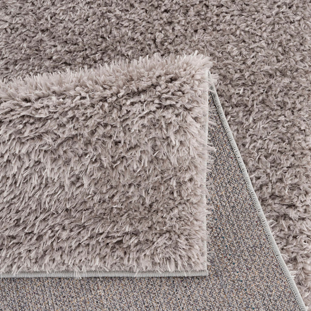 Gewnee Camdyn Super Soft Polyester Shag Area Rug, 4'x6'