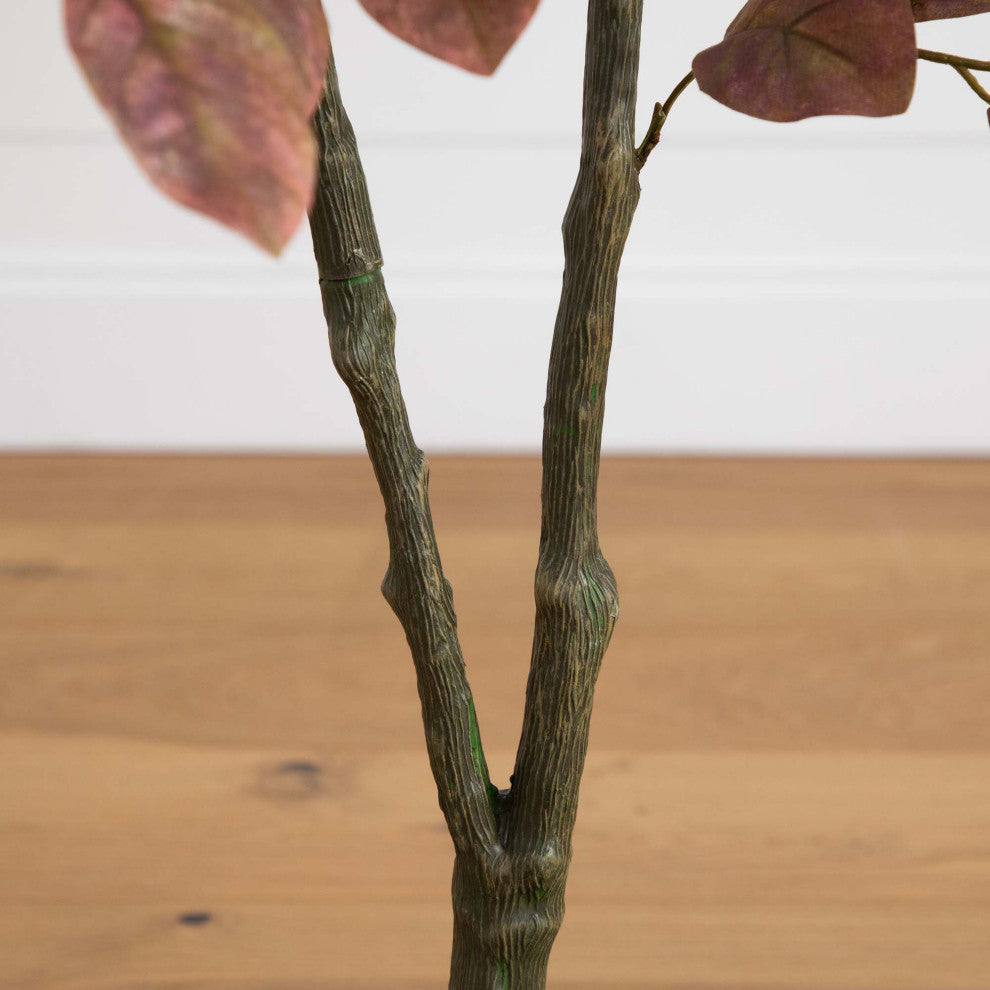 Close-up of trunk/branch; cropped view with white background.