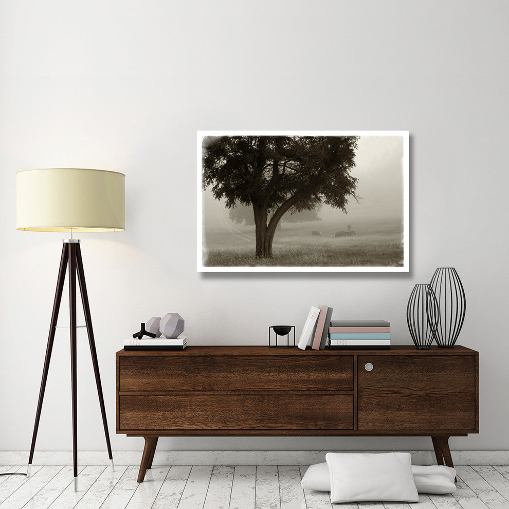 "Calm Mist no Limb" Digital Paper Print by Debra Van Swearingen, 50"x34"