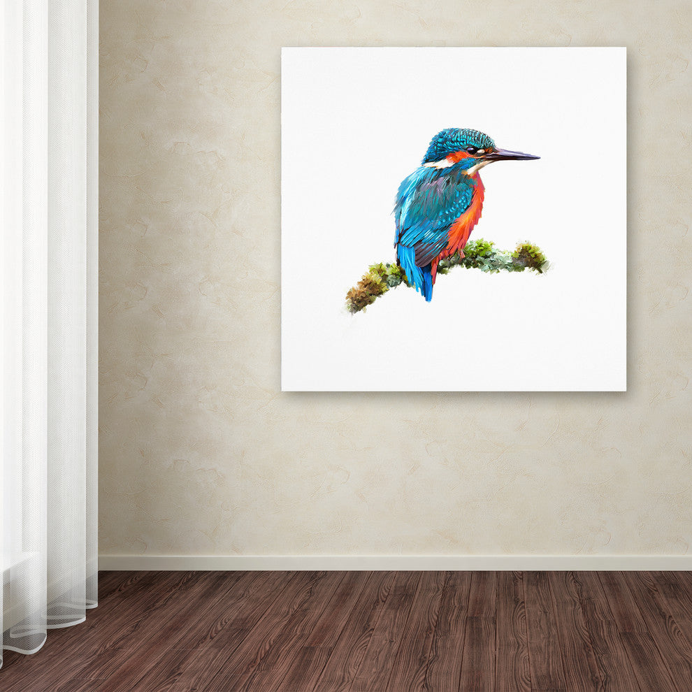 The Macneil Studio 'Kingfisher 1' Canvas Art, 35"x35"