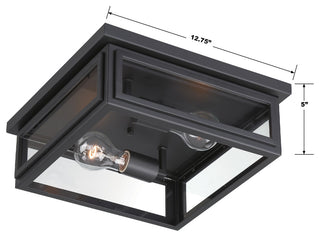 Byron 2-Light Matte Black Outdoor Ceiling Mount