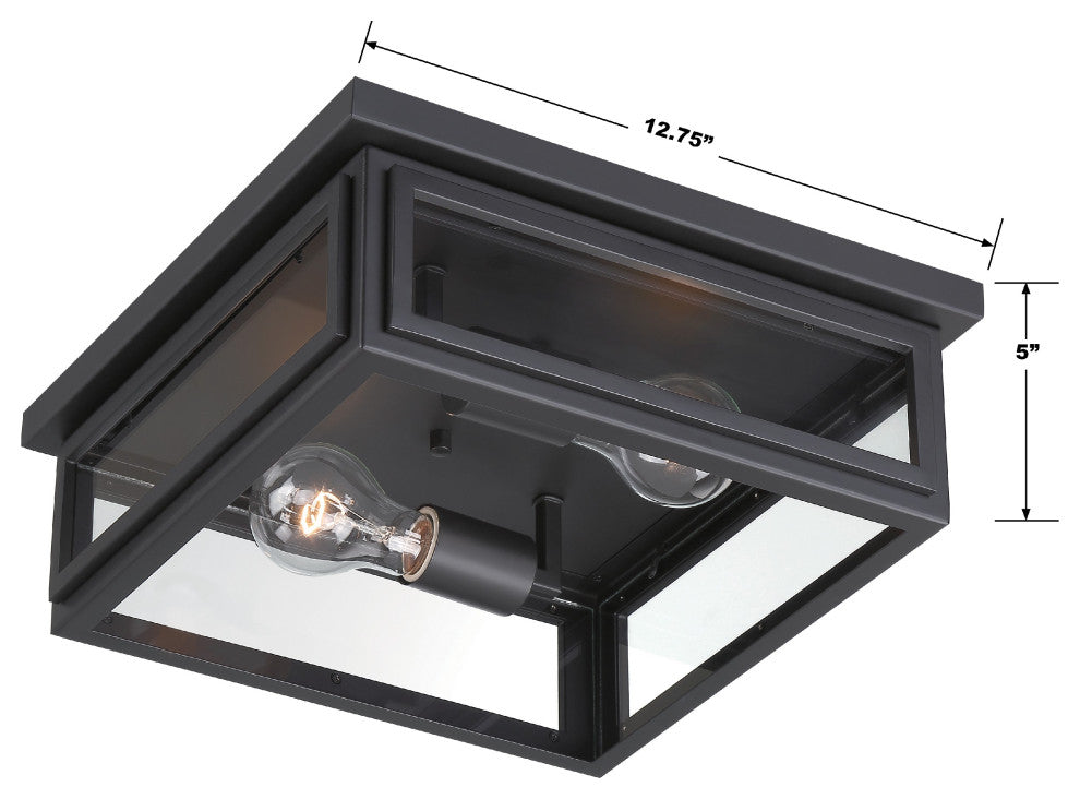 Byron 2-Light Matte Black Outdoor Ceiling Mount