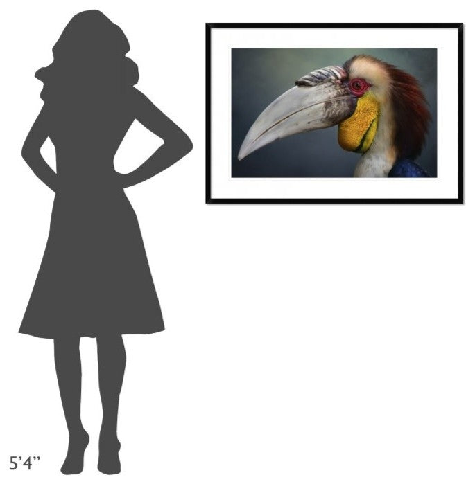 "Jabrix" Framed Digital Print by Fahmi Bhs, 38"x26"