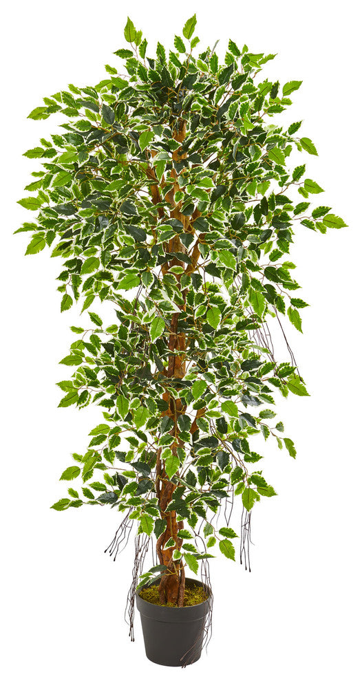 5' Elegant Ficus Artificial Tree